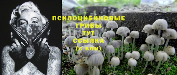 мдма Белокуриха