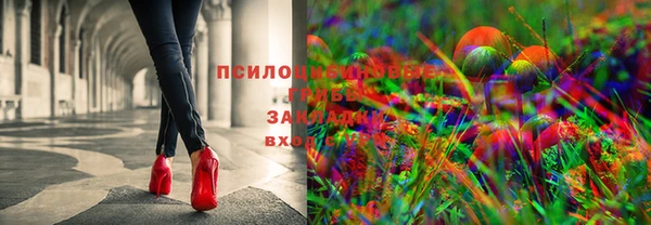 мдпв Беломорск